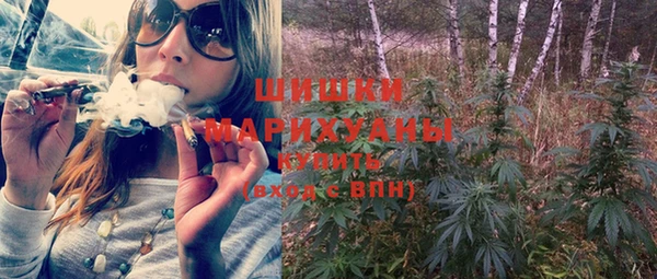 apvp Рославль
