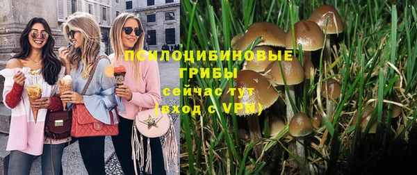 соль ск Ростов