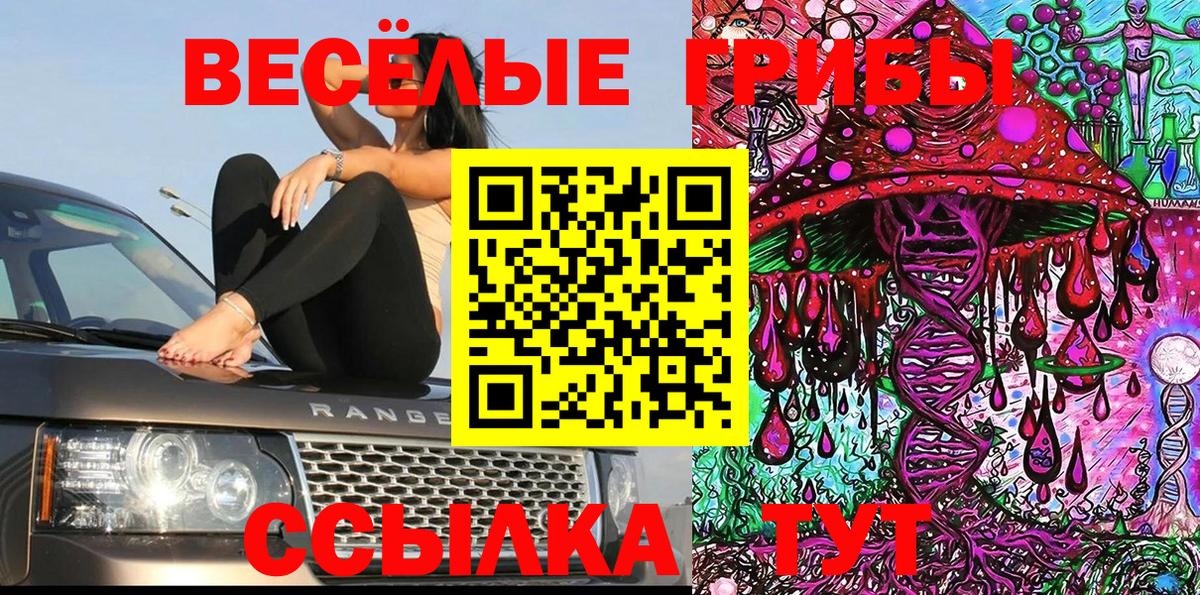 Псилоцибиновые грибы GOLDEN TEACHER Тара