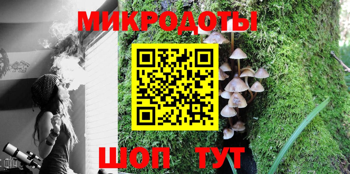 Тара  наркота  Галлюциногенные грибы MAGIC MUSHROOMS  Вход с VPN  Псилоцибиновые грибы Magic Shrooms 