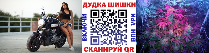 Бошки Шишки семена  Тара 